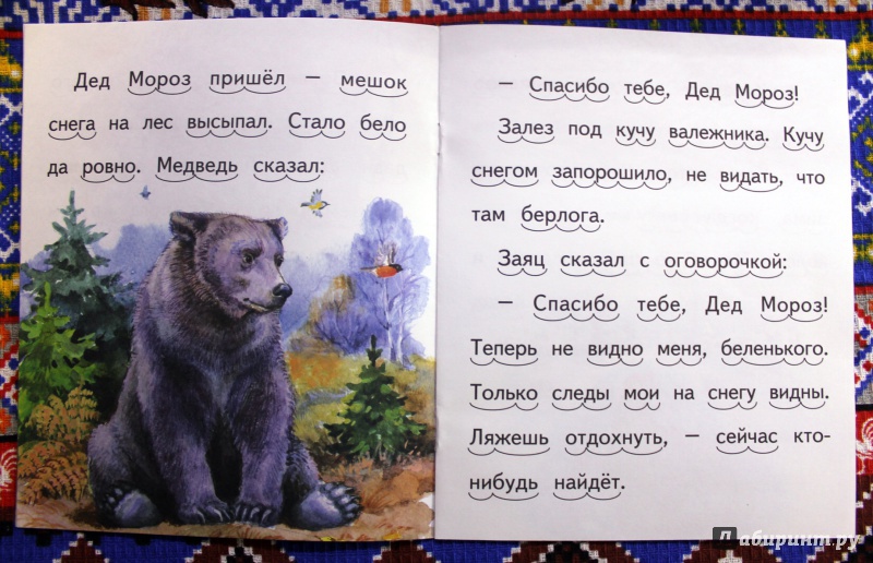 Иллюстрация 5 из 11 для Заяц, Косач, Медведь и Дед Мороз - Виталий Бианки | Лабиринт - книги. Источник: . NastasiaBu