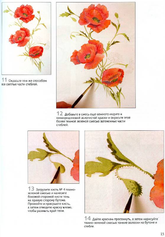Иллюстрация 17 из 22 для Рисуем по схемам. Цветы. Акварель - Венди Тэйт | Лабиринт - книги. Источник: Росинка