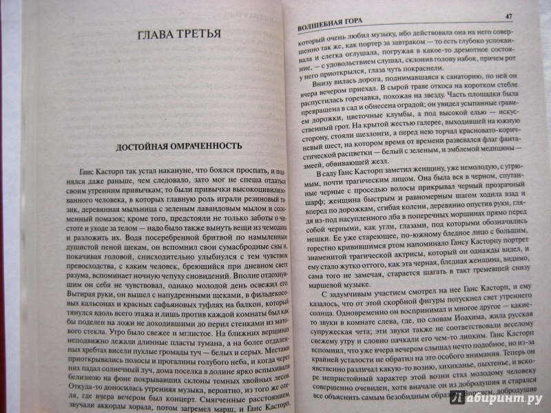 Иллюстрация 8 из 30 для Волшебная гора - Томас Манн | Лабиринт - книги. Источник: Анисимова  Татьяна