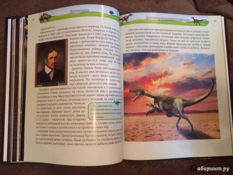 Иллюстрация 24 из 36 для Динозавры - Ирина Астапенко | Лабиринт - книги. Источник: Лабиринт