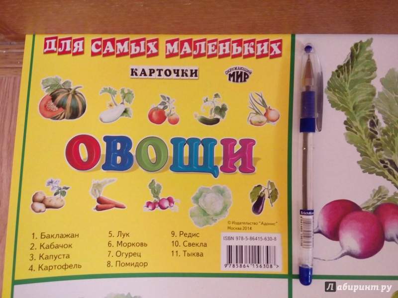 Иллюстрация 3 из 3 для Плакат "Овощи" (546) (50х70см) | Лабиринт - книги. Источник: Сулейманова  Сабрина