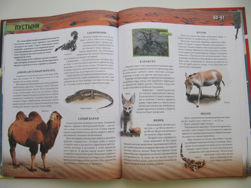 Иллюстрация 6 из 17 для Атлас животных - Цеханская, Стрелков | Лабиринт - книги. Источник: DoNNa.С