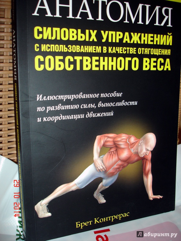 Иллюстрация 6 из 11 для Анатомия силовых упражнений с использованием в качестве отягощения собственного веса - Брет Контрерас | Лабиринт - книги. Источник: Kassavetes