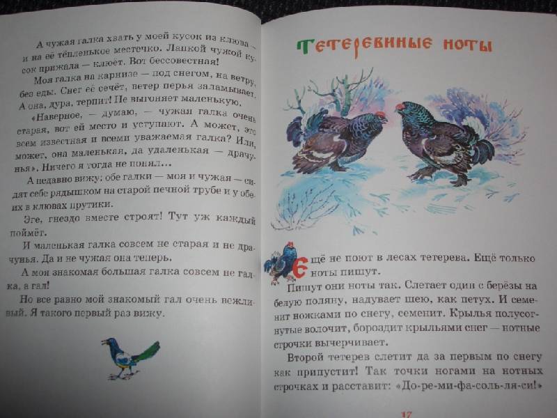 Иллюстрация 35 из 38 для Русские сказки о природе - Николай Сладков | Лабиринт - книги. Источник: sher