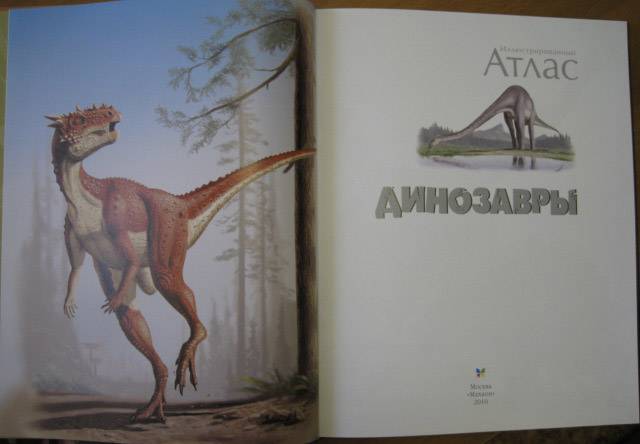 Иллюстрация 71 из 109 для Динозавры. Иллюстрированный атлас - Майкл Бретт-Шуман | Лабиринт - книги. Источник: Troulala