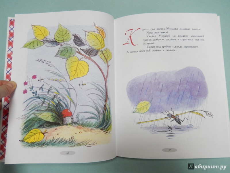 Иллюстрация 7 из 33 для Сказки и картинки - Владимир Сутеев | Лабиринт - книги. Источник: dbyyb