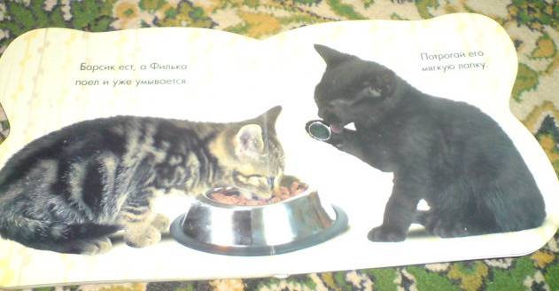 Иллюстрация 6 из 9 для Про котят. Погладь меня! (с блестками) | Лабиринт - книги. Источник: окси