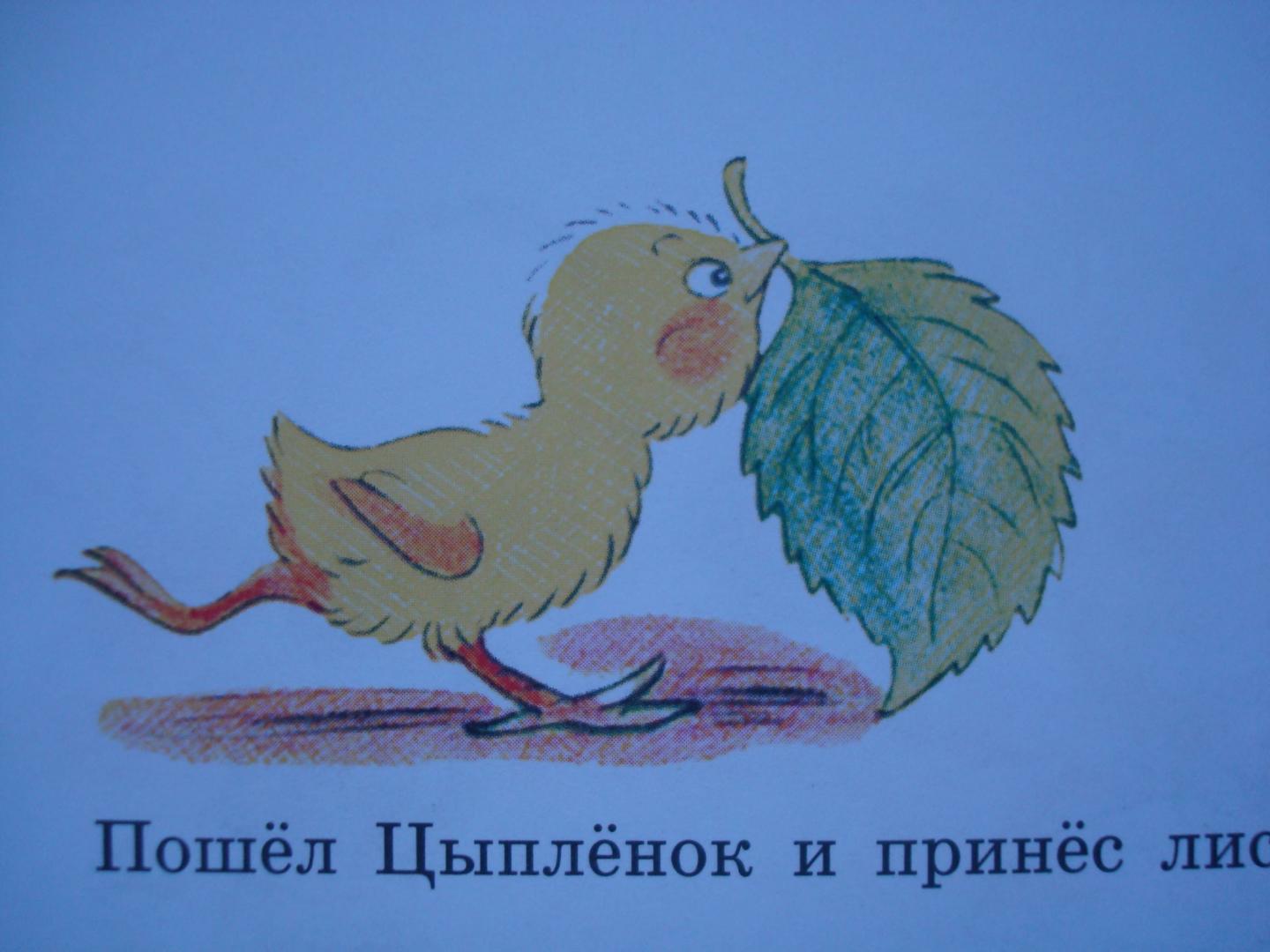 Иллюстрация 100 из 165 для Сказки и картинки - Владимир Сутеев | Лабиринт - книги. Источник: Без-Ника