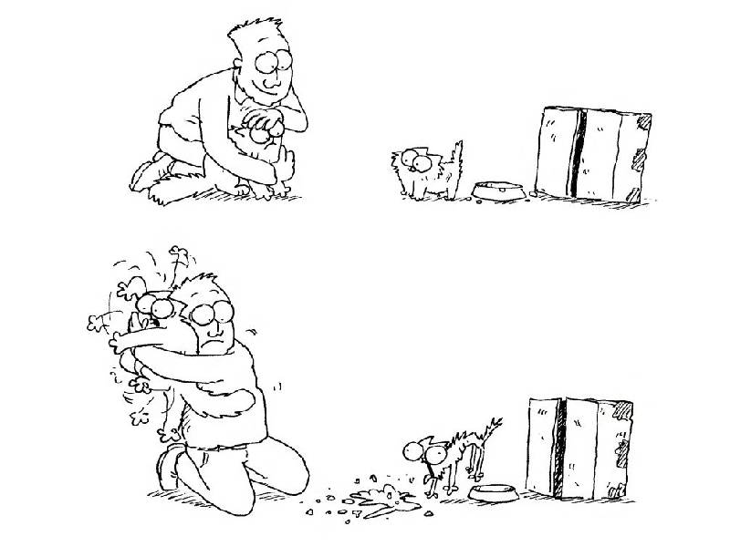 Иллюстрация 40 из 61 для Кот Саймона. Набор подарочный в 3-х книгах - Саймон Тофилд | Лабиринт - книги. Источник: Юта
