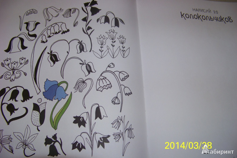 Иллюстрация 25 из 38 для 20 способов нарисовать тюльпан и 44 других прекрасных цветка - Лиза Конгдон | Лабиринт - книги. Источник: G