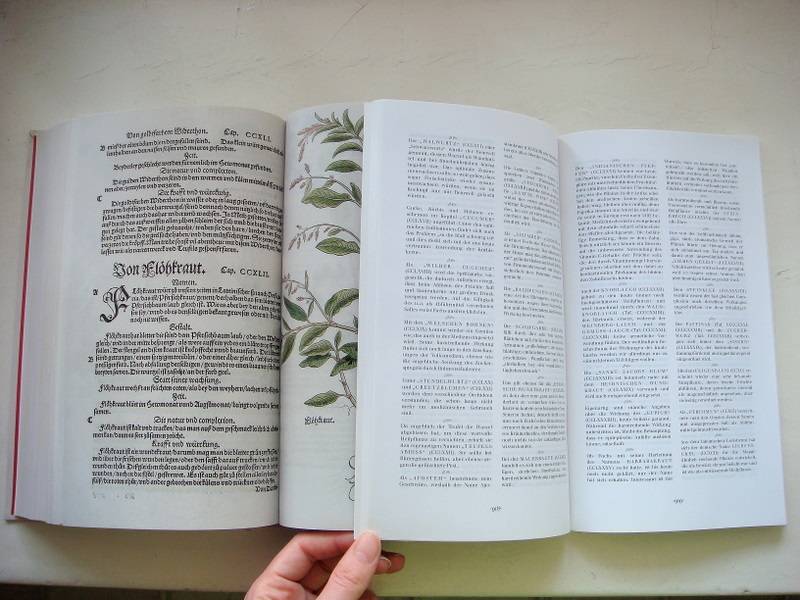 Иллюстрация 6 из 6 для The New Herbal of 1543 - Leonhart Fuchs | Лабиринт - книги. Источник: b000ka