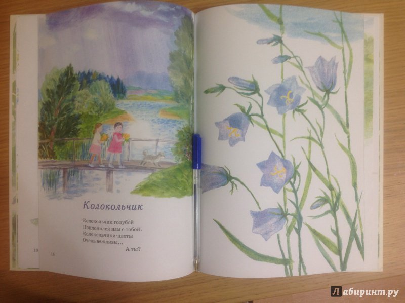 Иллюстрация 69 из 69 для Наши цветы - Екатерина Серова | Лабиринт - книги. Источник: Патрикеевна  Лиса