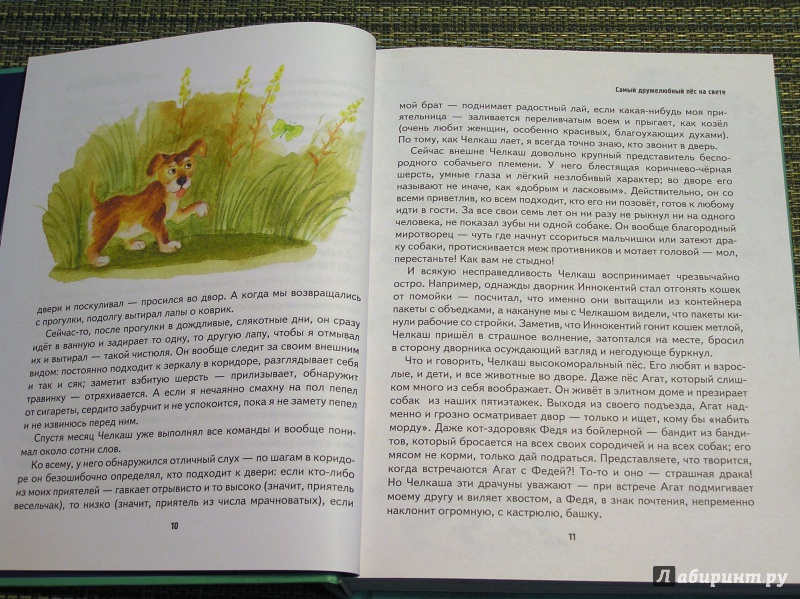 Иллюстрация 29 из 38 для Мои собаки - Леонид Сергеев | Лабиринт - книги. Источник: Shurshun