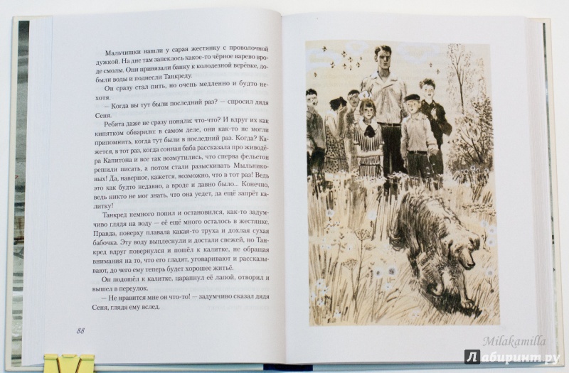 Иллюстрация 71 из 86 для Оля - Федор Кнорре | Лабиринт - книги. Источник: Букландия