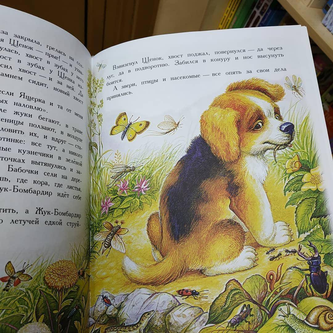 Иллюстрация 18 из 36 для Сказки для детей - Виталий Бианки | Лабиринт - книги. Источник: Отзывы читателей