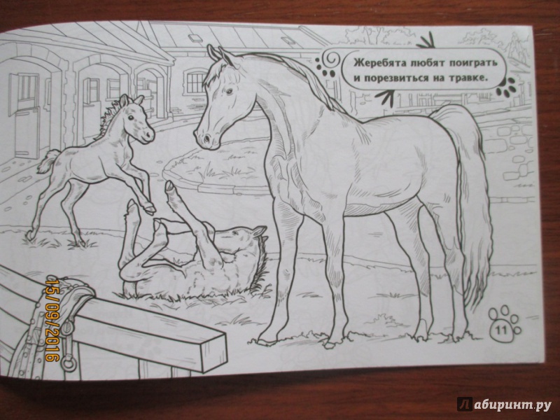 Иллюстрация 10 из 14 для На ферме | Лабиринт - книги. Источник: Марина Епифанцева