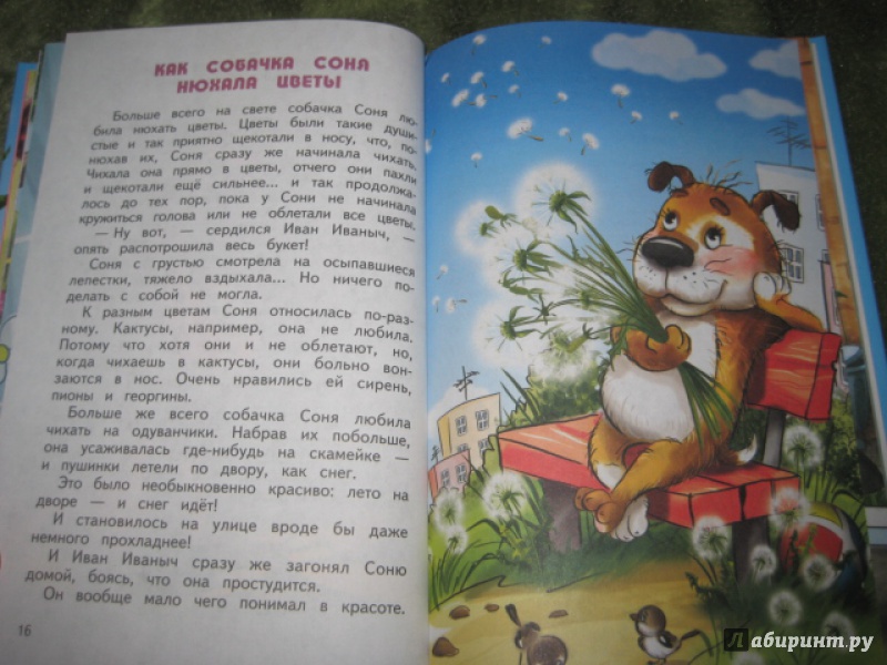 Иллюстрация 12 из 24 для Умная собачка Соня - Андрей Усачев | Лабиринт - книги. Источник: Оксана Бельнова