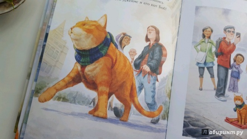 Иллюстрация 26 из 69 для Кот по имени Боб - Боуэн, Дженкинс | Лабиринт - книги. Источник: Рябова Юлия