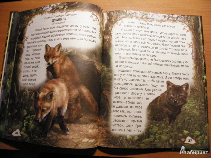 Иллюстрация 10 из 15 для Ребятам о зверятах | Лабиринт - книги. Источник: 1helga