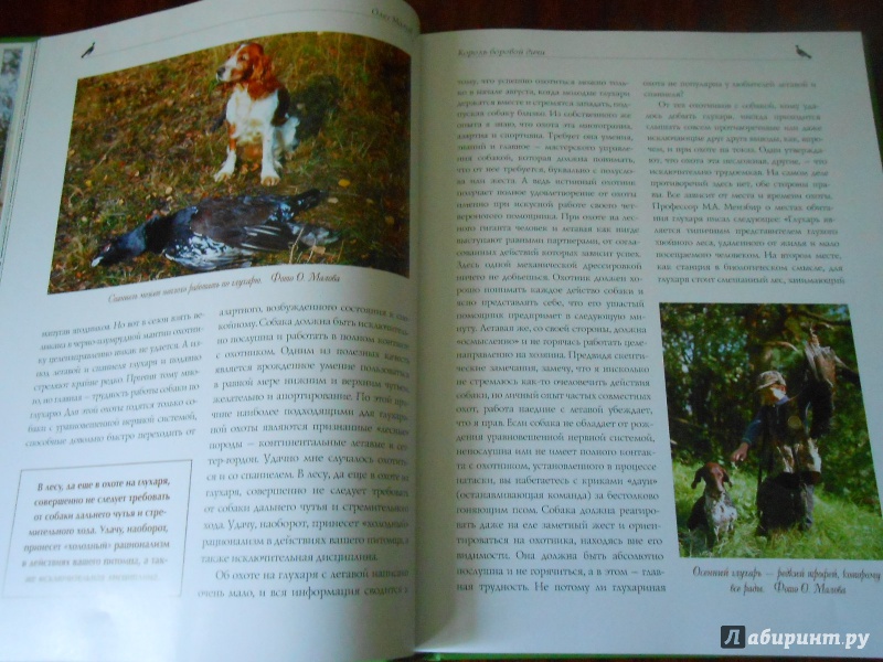 Иллюстрация 5 из 30 для Охота на боровую дичь - Олег Малов | Лабиринт - книги. Источник: Леан