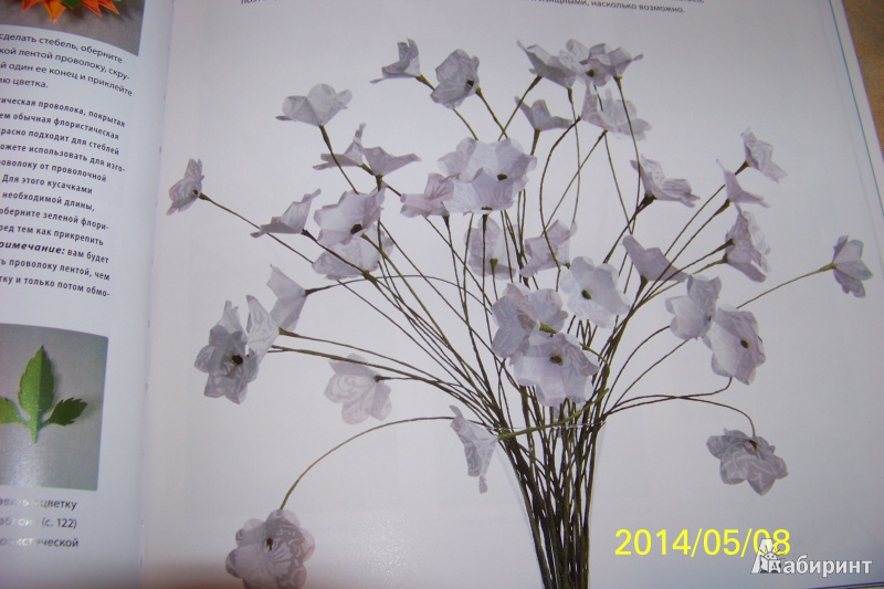 Иллюстрация 21 из 25 для Цветы и букеты из бумаги - Джеффри Руделл | Лабиринт - книги. Источник: G
