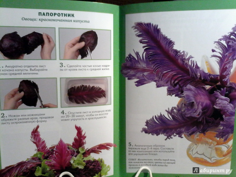 Иллюстрация 6 из 29 для Экзотические цветы - Маргарита Кузнецова | Лабиринт - книги. Источник: sveta.neuymina