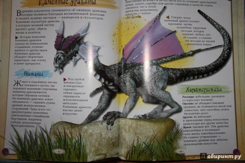 Иллюстрация 8 из 45 для Драконы, монстры и другие фантастические создания | Лабиринт - книги. Источник: Акико