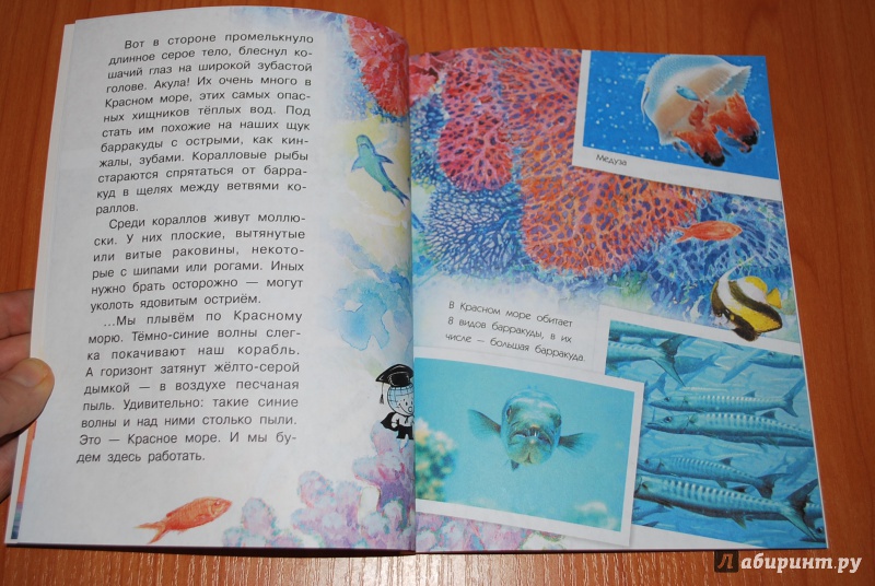 Иллюстрация 4 из 15 для Как увидеть морское дно? - Александр Тамбиев | Лабиринт - книги. Источник: Нади
