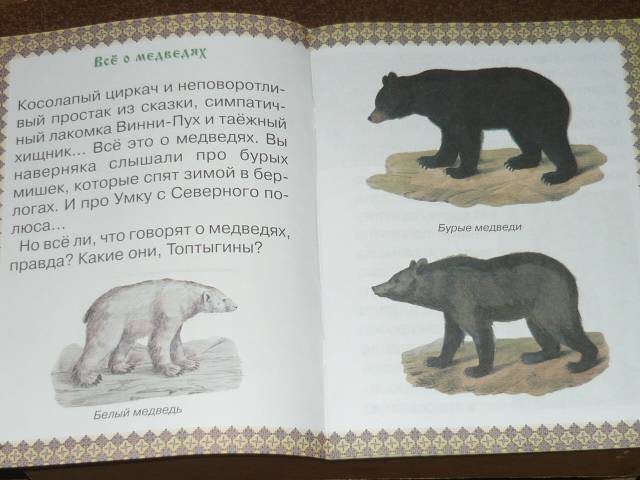Иллюстрация 12 из 41 для Косолапые истории. Все о медведях - Екатерина Малинина | Лабиринт - книги. Источник: Ромашка:-)