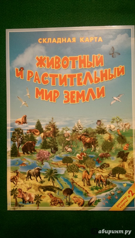 Иллюстрация 7 из 18 для Животный и растительный мир Земли. Карта. Складная. | Лабиринт - книги. Источник: Варгасова  Ольга