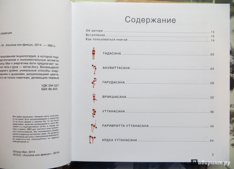 Иллюстрация 17 из 37 для Энергетика йоги. Практический курс - Нина Мел | Лабиринт - книги. Источник: Катовася