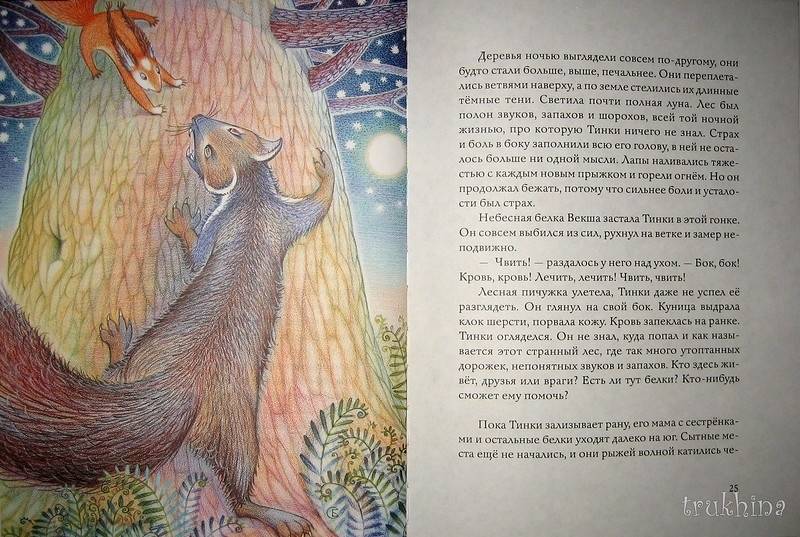 Иллюстрация 71 из 85 для Бельчонок Тинки - Тамара Михеева | Лабиринт - книги. Источник: Трухина Ирина