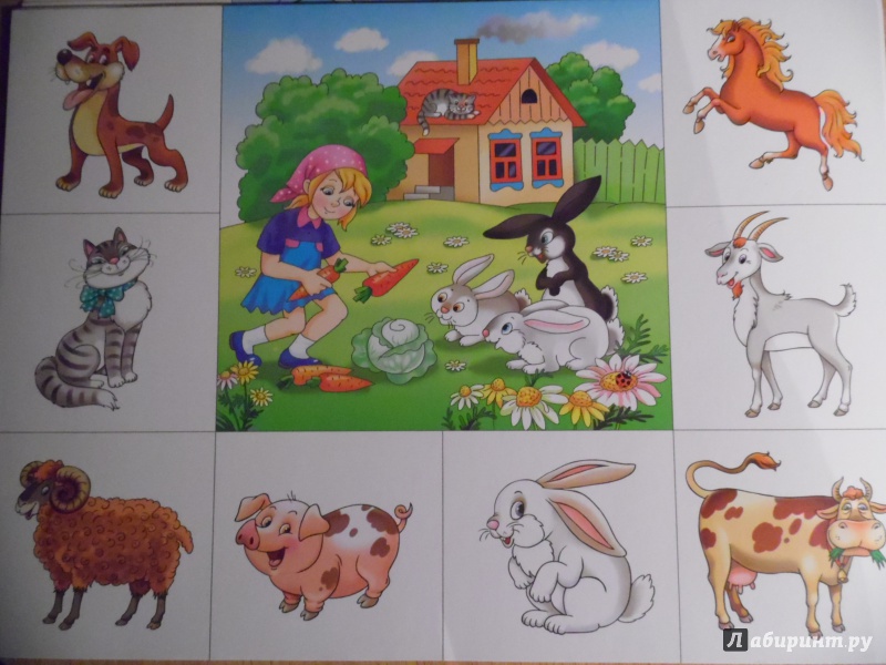 Иллюстрация 11 из 11 для Детское лото "Животные" | Лабиринт - игрушки. Источник: Азовская Наталья