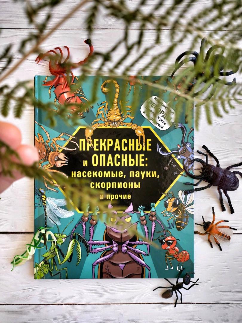 Иллюстрация 30 из 35 для Прекрасные и опасные. Насекомые, пауки, скорпионы - Лауманн, Шмитт | Лабиринт - книги. Источник: @bumazhniy_gorod