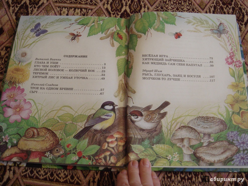 Иллюстрация 11 из 87 для Сказки о родной природе - Бианки, Сладков, Шим | Лабиринт - книги. Источник: Волкова  Алена