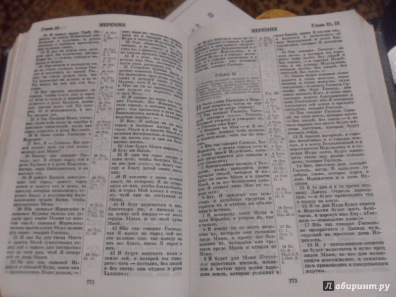 Иллюстрация 16 из 20 для Библия | Лабиринт - книги. Источник: Alva