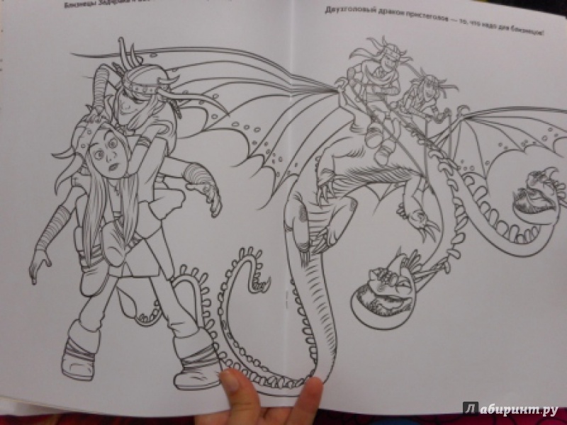 Иллюстрация 8 из 11 для Драконы: Всадники олуха. Волшебная раскраска (№ 15043) | Лабиринт - книги. Источник: Светик Гурьева (Ивансон)