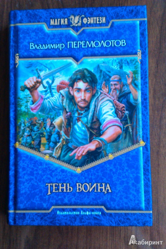 Иллюстрация 1 из 5 для Тень воина: Фантастический роман - Владимир Перемолотов | Лабиринт - книги. Источник: Илана