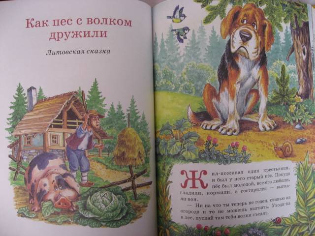 Иллюстрация 48 из 53 для Сказки дедушки Барбоса | Лабиринт - книги. Источник: svemikh