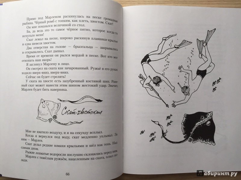 Иллюстрация 9 из 34 для Подводные приключения - Святослав Сахарнов | Лабиринт - книги. Источник: Лиса Олеся
