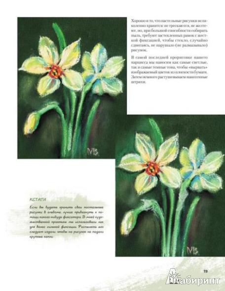 Иллюстрация 3 из 23 для Рисуем цветы (+CD) - Виктория Мазовецкая | Лабиринт - книги. Источник: Низамутдинова  Олия