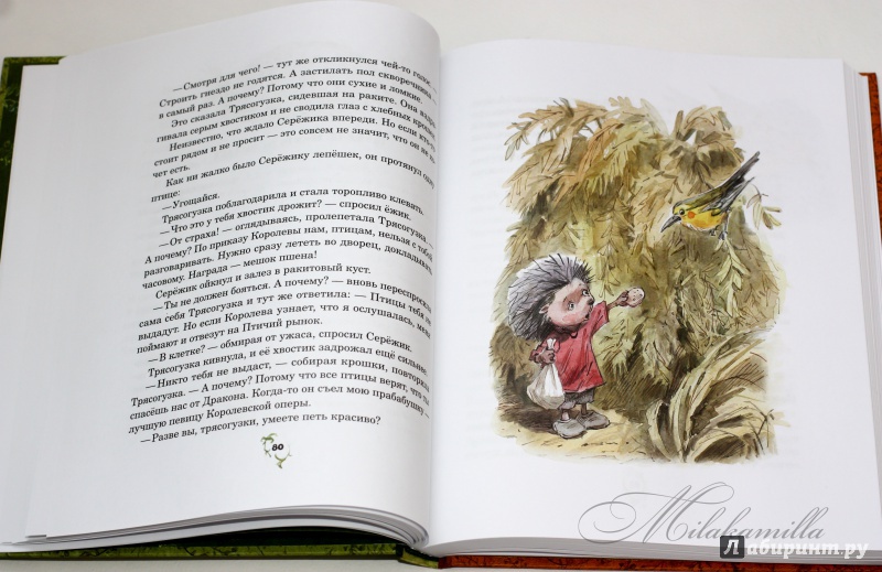 Иллюстрация 84 из 224 для Серёжик - Елена Ракитина | Лабиринт - книги. Источник: Букландия