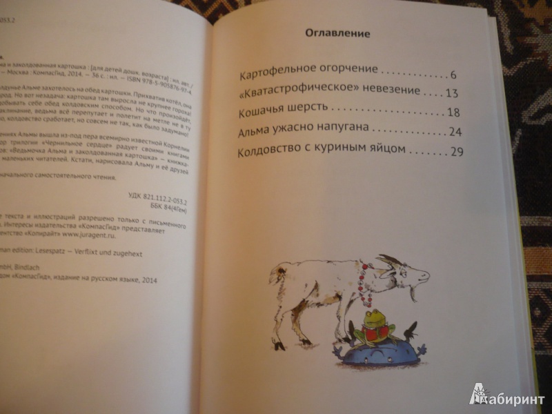 Иллюстрация 20 из 27 для Ведьмочка Альма и заколдованная картошка - Корнелия Функе | Лабиринт - книги. Источник: angela_kvitka