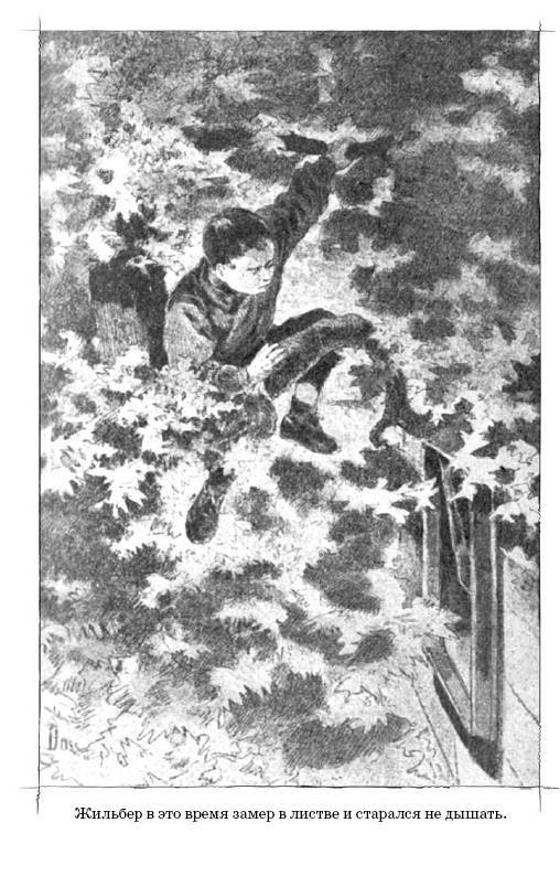 Иллюстрация 7 из 16 для Подкидыш - Вильям Бюснах | Лабиринт - книги. Источник: Любознательный