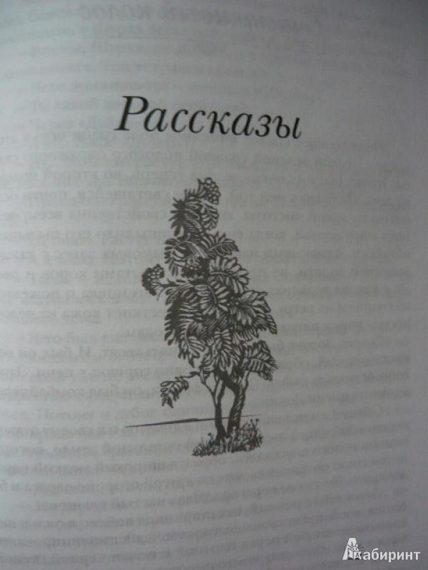 Иллюстрация 9 из 22 для Смех за левым плечом: повести, рассказы, эссе. Том второй - Владимир Солоухин | Лабиринт - книги. Источник: Шевцов  Илья