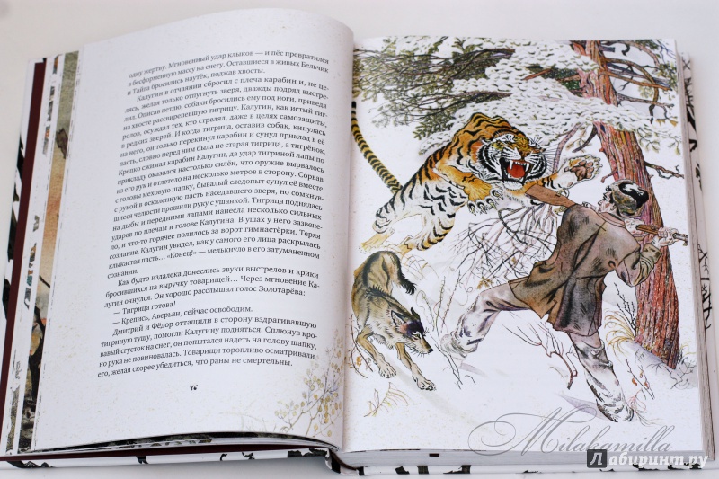 Иллюстрация 126 из 154 для Золотая Ригма - Всеволод Сысоев | Лабиринт - книги. Источник: Букландия