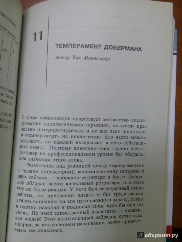 Иллюстрация 9 из 23 для Доберман-пинчер - Джоанна Уокер | Лабиринт - книги. Источник: Архипова  Марина