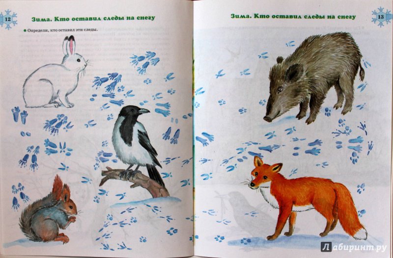 Иллюстрация 9 из 12 для Экология для самых маленьких. Книга для родителей и детей 4-5 лет - Татьяна Богданец | Лабиринт - книги. Источник: E.B.