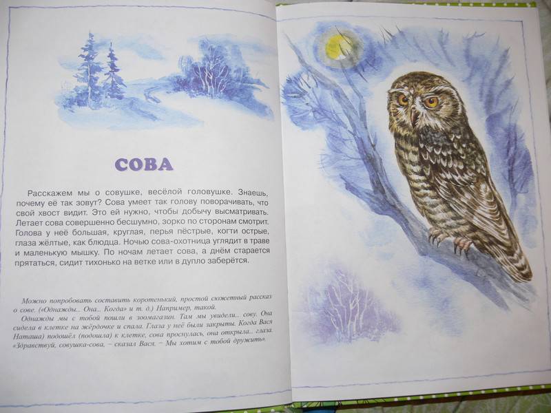 Иллюстрация 7 из 20 для О диких и домашних животных. 2-4 года | Лабиринт - книги. Источник: Irbis