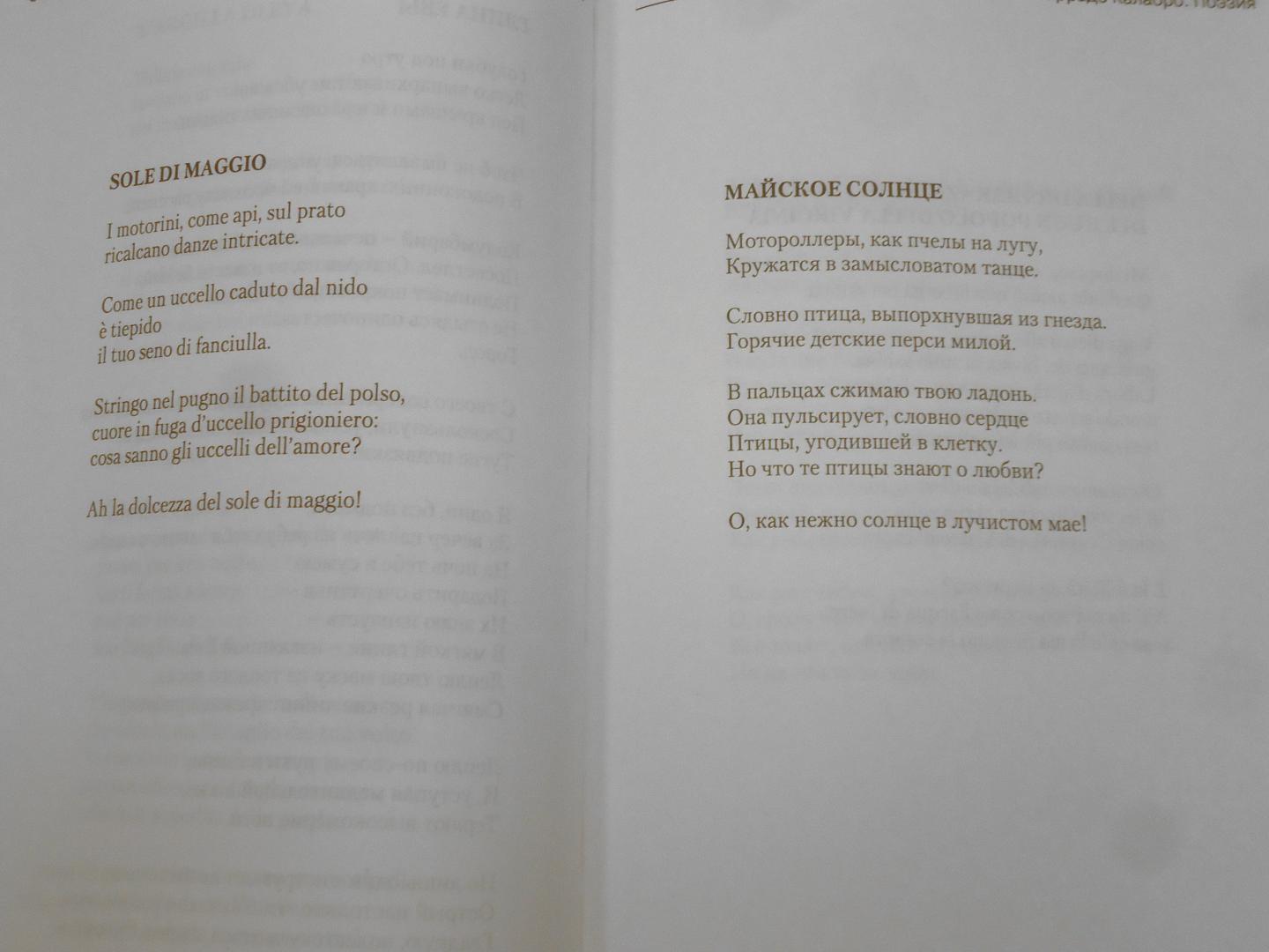 Иллюстрация 31 из 46 для Поэзия=Poesie - Коррадо Калабро | Лабиринт - книги. Источник: Затерянная